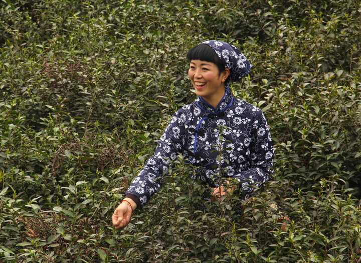 蛇蝎女郎